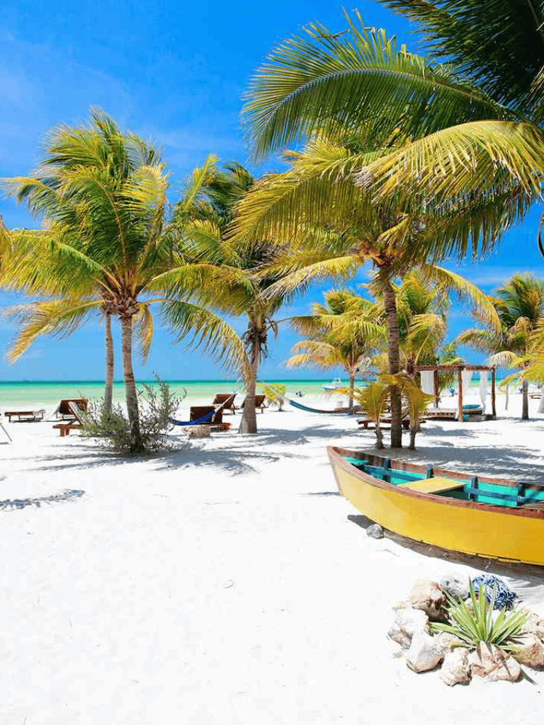 Palm trees on a tropical beach with sandy shores and colorful boat for seaside relaxation and vacation.