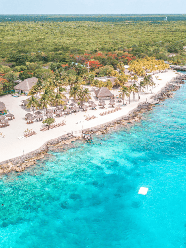 Tropical beachfront resort with palm trees, sandy beach, and clear blue ocean waters.