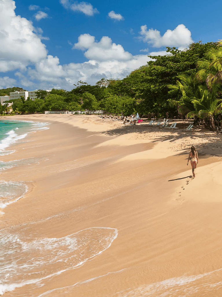 Tranquil beach with golden sand, lush trees, and clear blue skies, perfect for relaxing and outdoor activities.