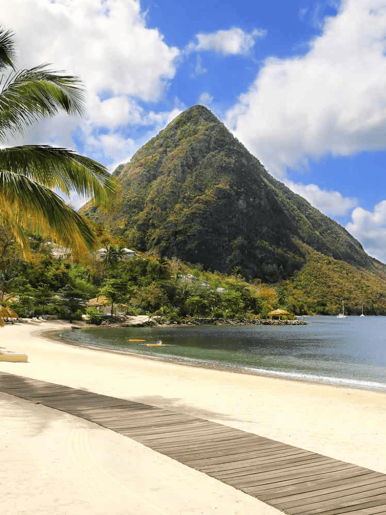 Tropical beach with mountain backdrop and palm trees, perfect for vacation at QuestForDirections.