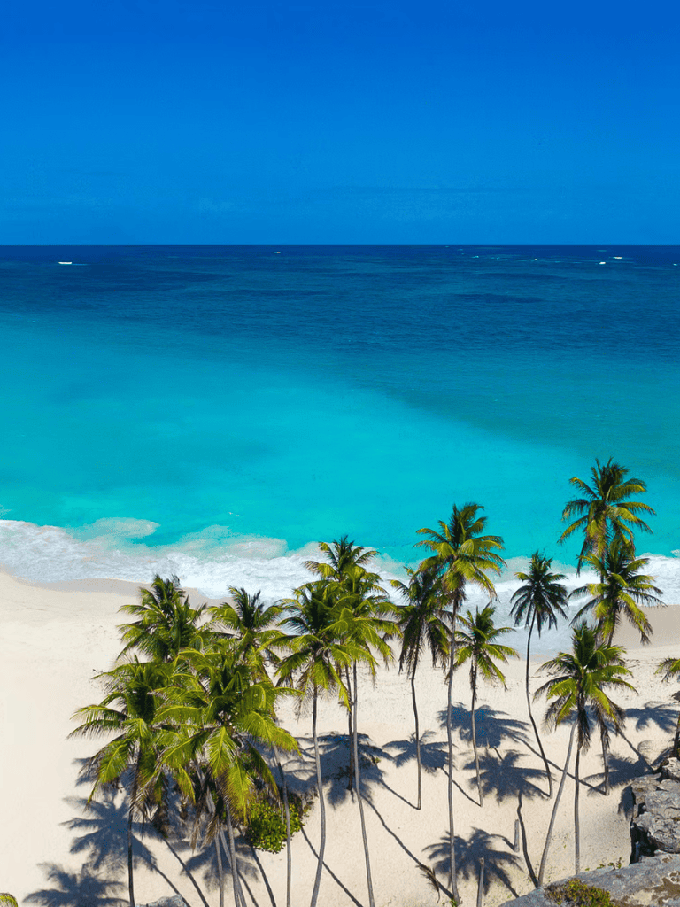 Vibrant tropical beach with turquoise ocean, white sand, and lush palm trees, perfect for travel and adventure.
