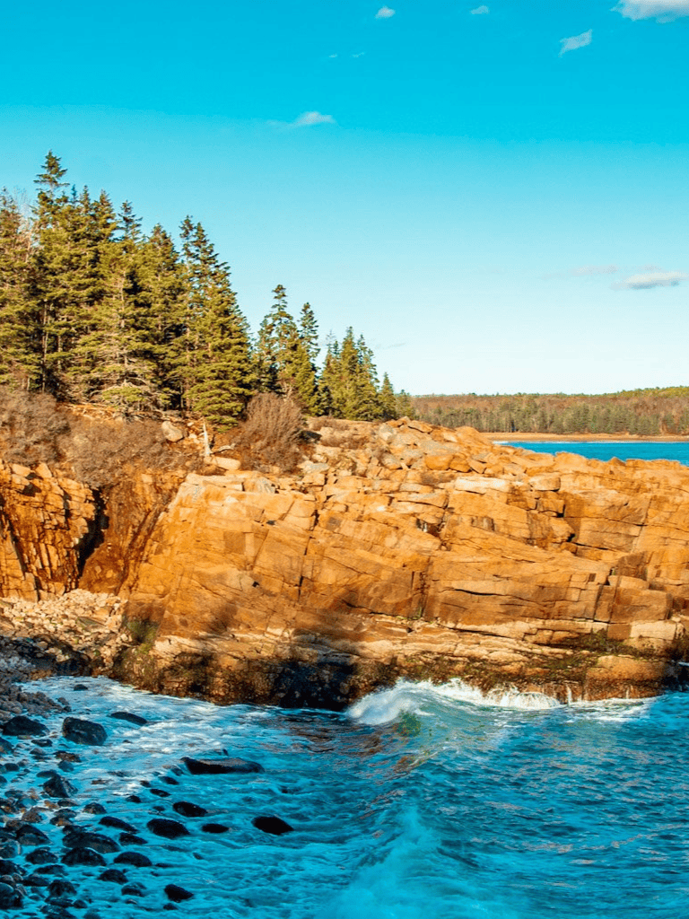 Vast ocean cliffs with rocky shores and lush green trees under a clear blue sky.