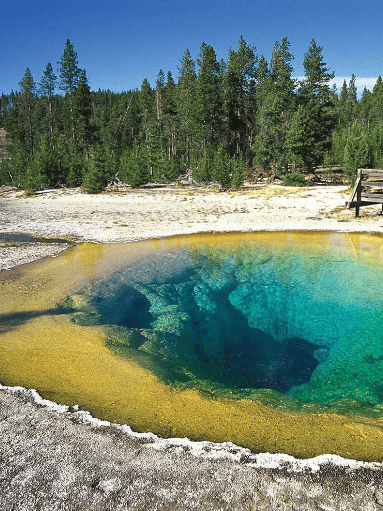 Vivid geothermal hot spring surrounded by lush forest in a scenic natural park.
