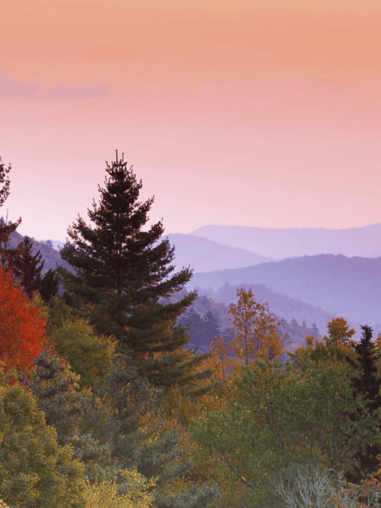Vibrant fall foliage with mountain backdrop, perfect for nature and travel enthusiasts.