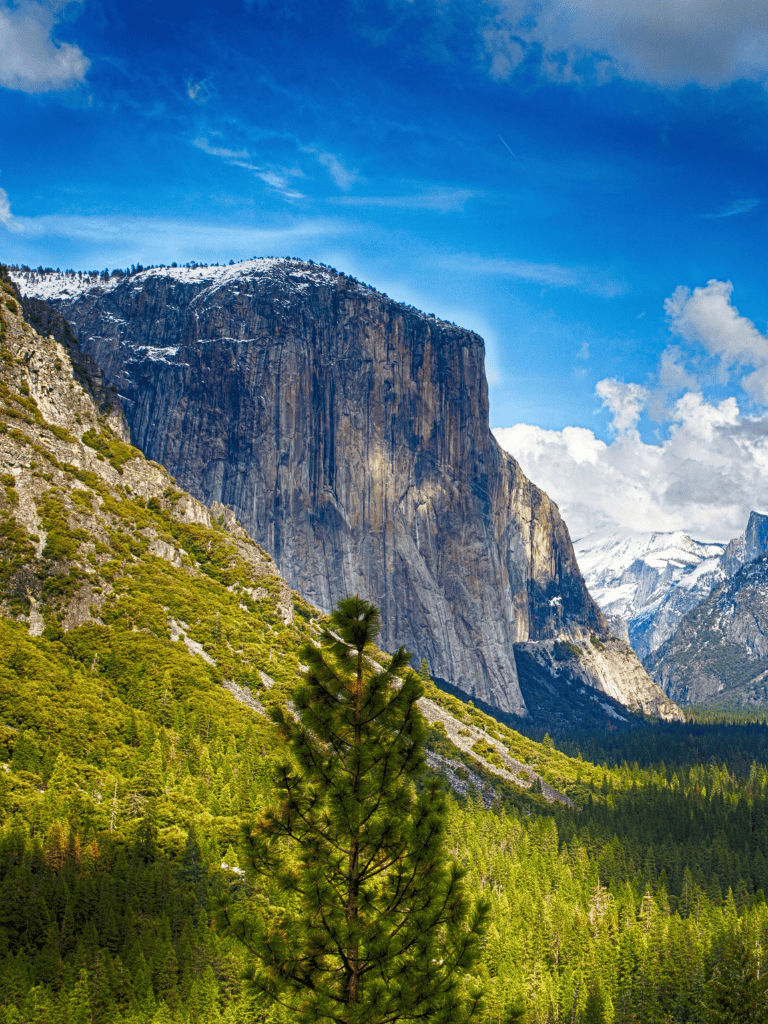 Majestic mountain landscape with lush green forests and blue sky, highlighting scenic outdoor adventure destinations.