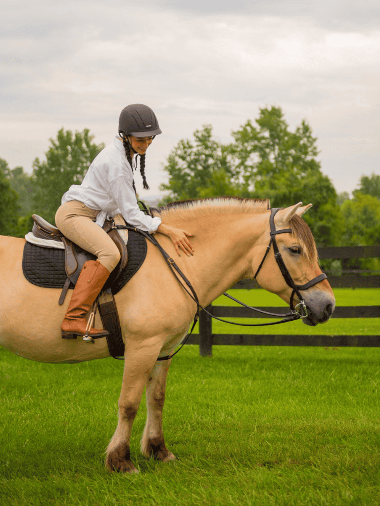 Horse riding therapy session for physical and mental wellness.