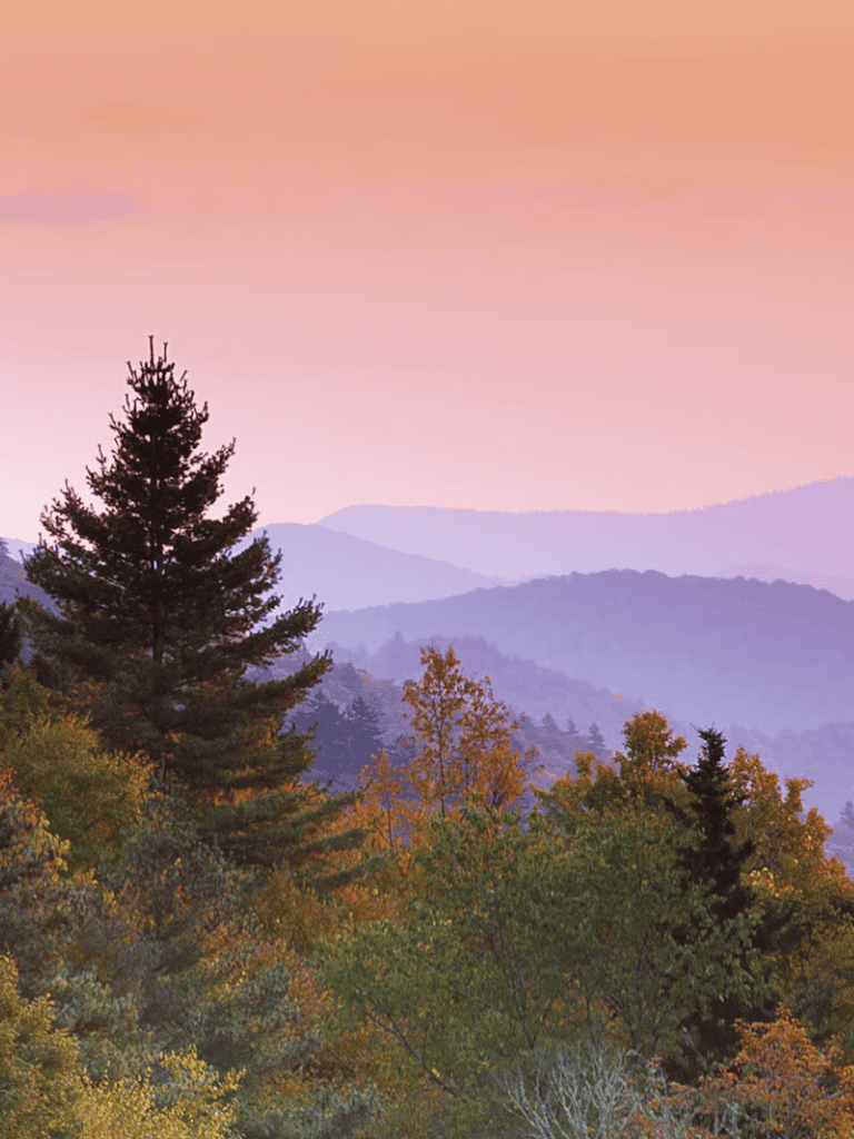Vibrant fall forest with mountain ranges at sunset, scenic outdoor destination for nature lovers.