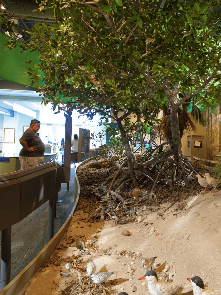 Colorful indoor nature display with trees and ducks at QuestForDirections exhibit.