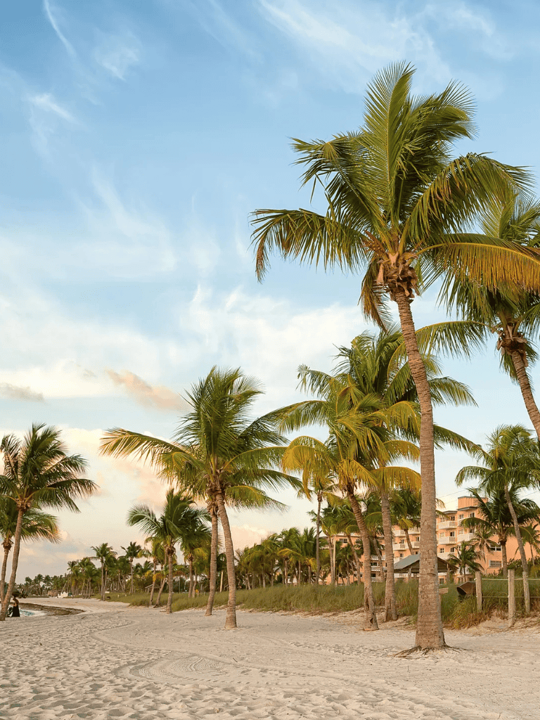 Relaxing tropical beach with palm trees and ocean view, perfect for vacation planning.