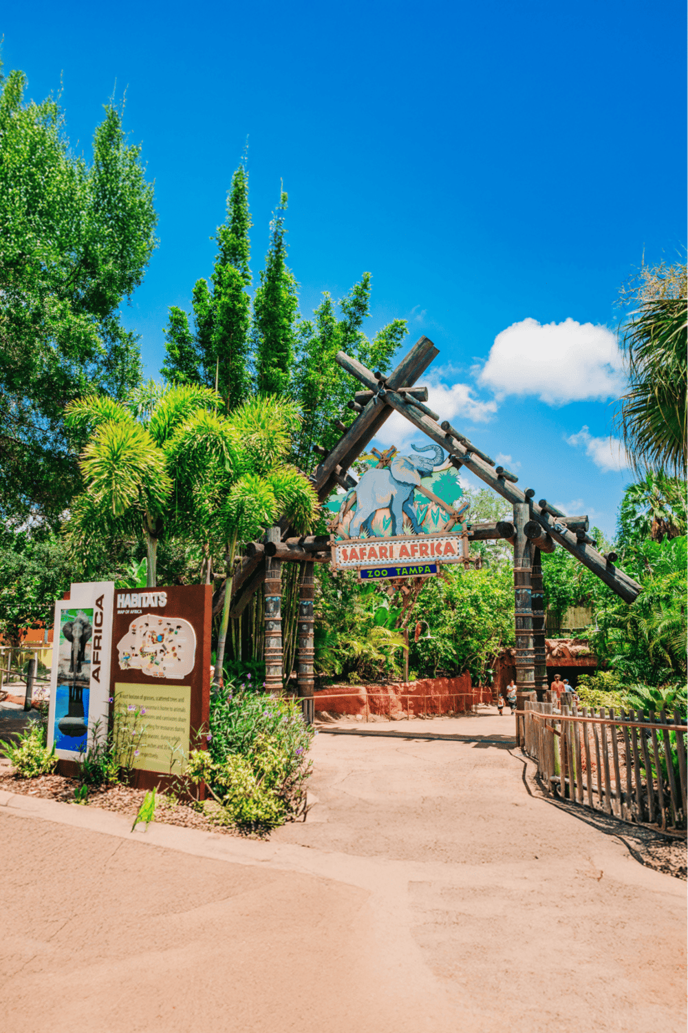 Sunlit entrance of Safari Africa at Zoo Tampa with lush greenery and vibrant signage.
