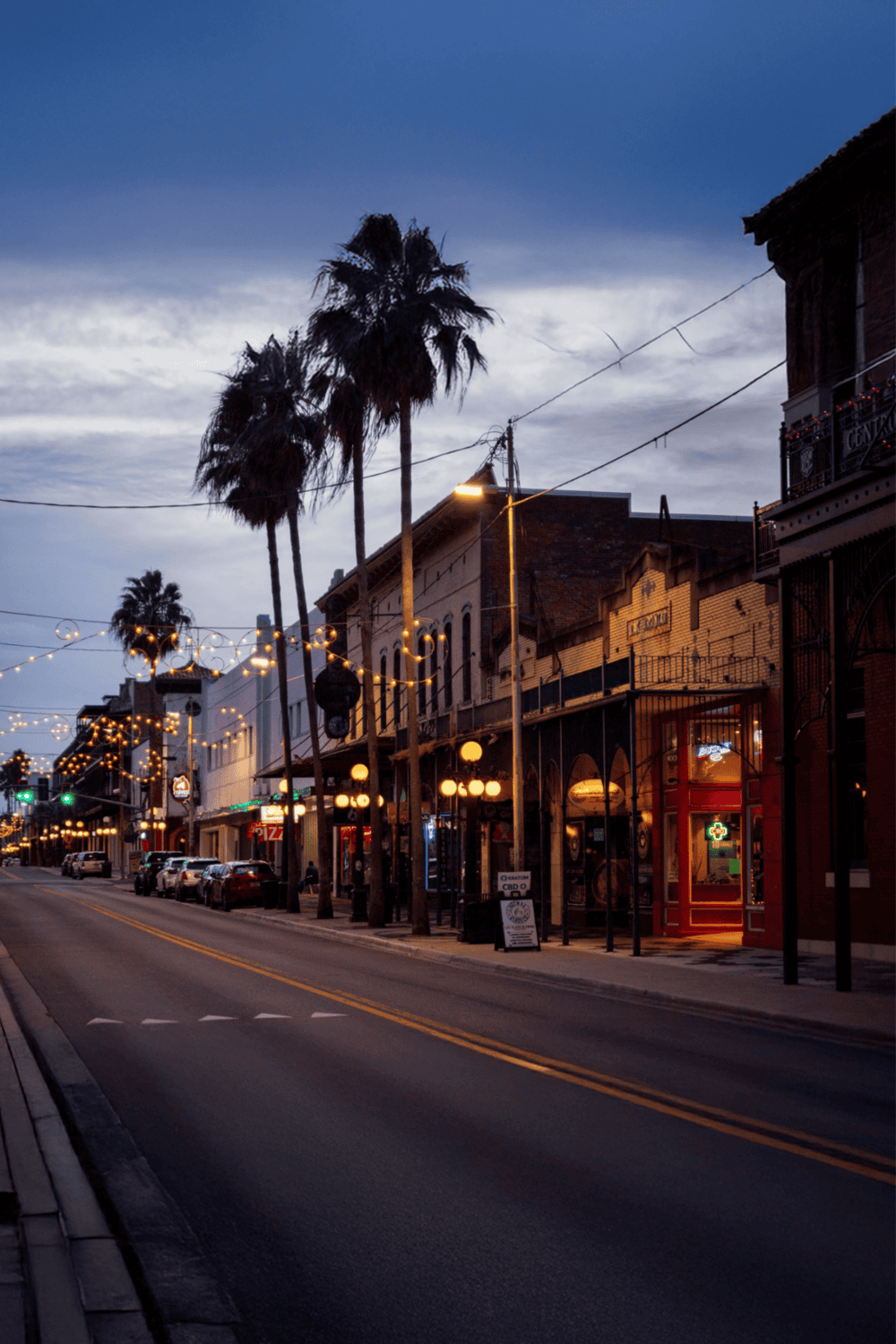 Cozy downtown street with historic buildings, palm trees, and evening string lights, perfect for exploring local restaurants and shops.