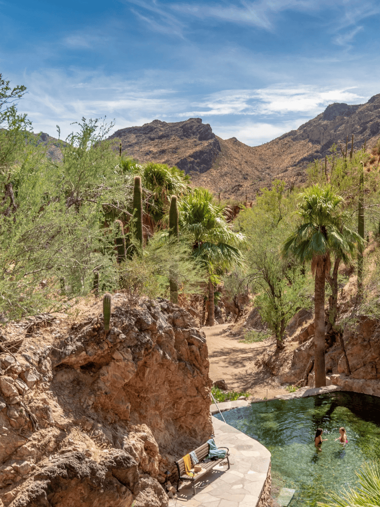 Desert mountain landscape with lush pool area and tropical plants, sunny sky, perfect for outdoor adventure and relaxation.