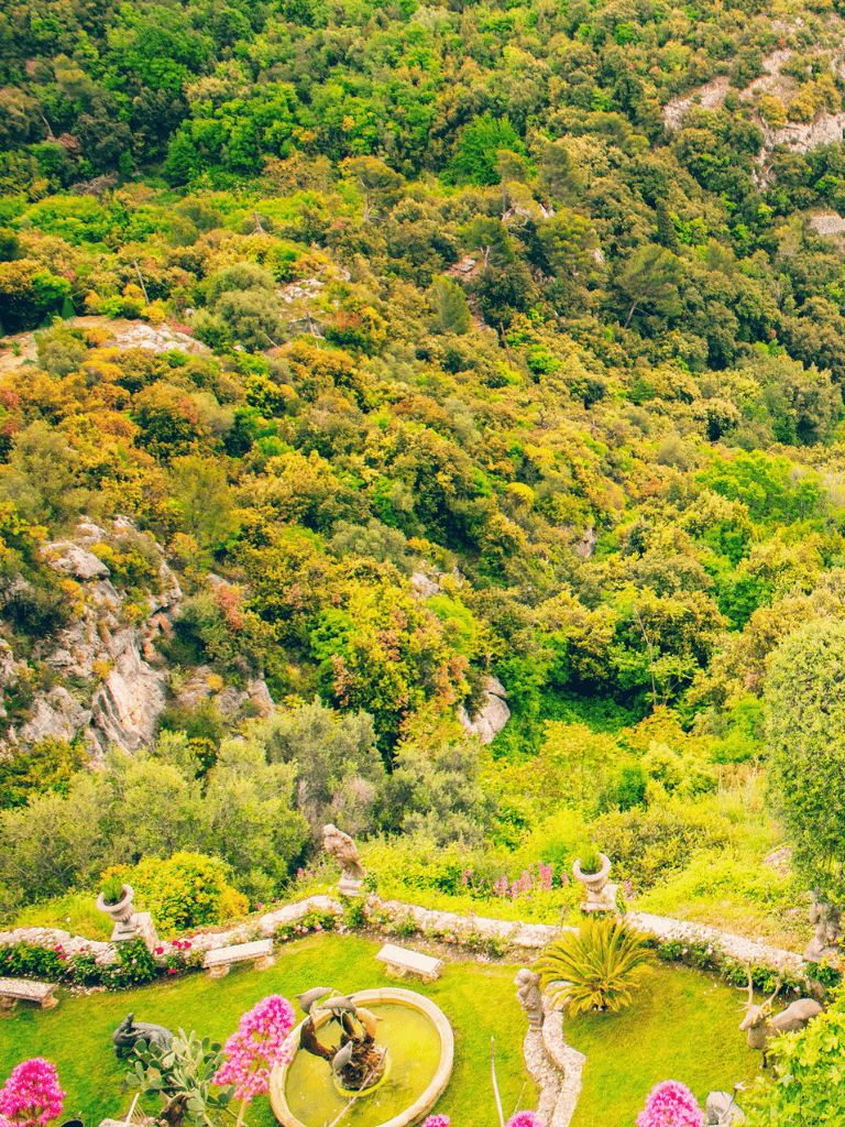 Lush green forest landscape with garden and fountain in foreground, scenic nature view, peaceful outdoor setting, vibrant foliage, wildlife habitat.