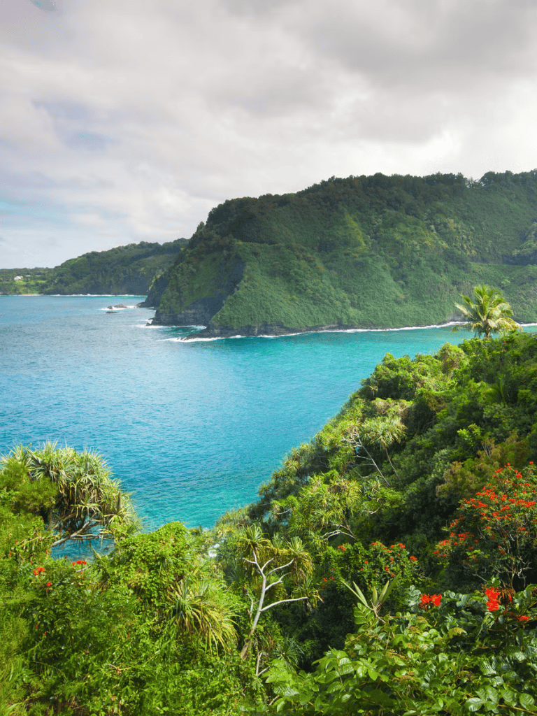 Lush tropical landscape with green hills overlooking turquoise ocean in Hawaii.