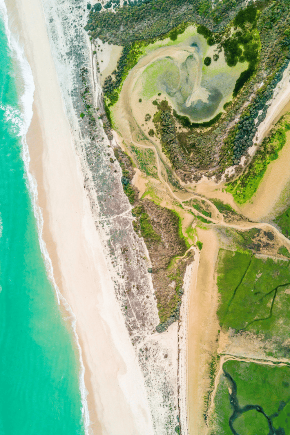 Seaside coastal landscape with sandy beaches and lush green vegetation.