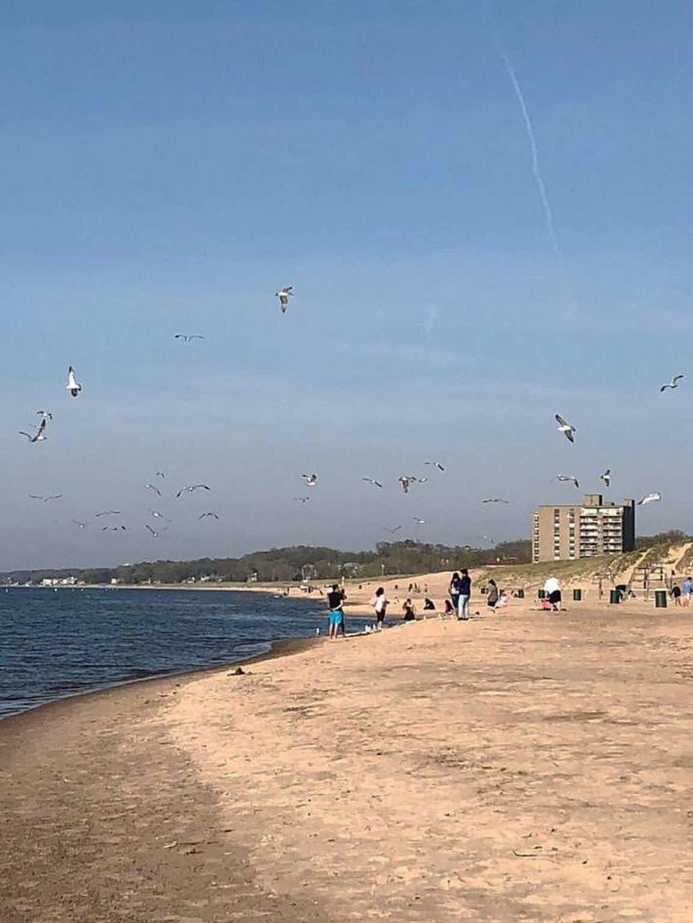 Seagulls flying over a sandy beach near water with people enjoying the seaside atmosphere.