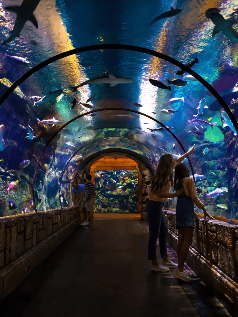 Colorful aquarium tunnel with diverse marine life and visitors exploring aquatic exhibits.