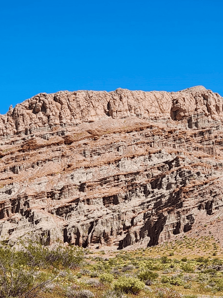 Vast desert canyon with red rock formations and sparse vegetation under a clear blue sky.