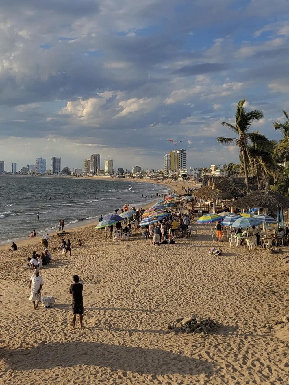 Beach scene with umbrellas, palm trees, and city skyline in the background, perfect for travel destinations and beach relaxation.