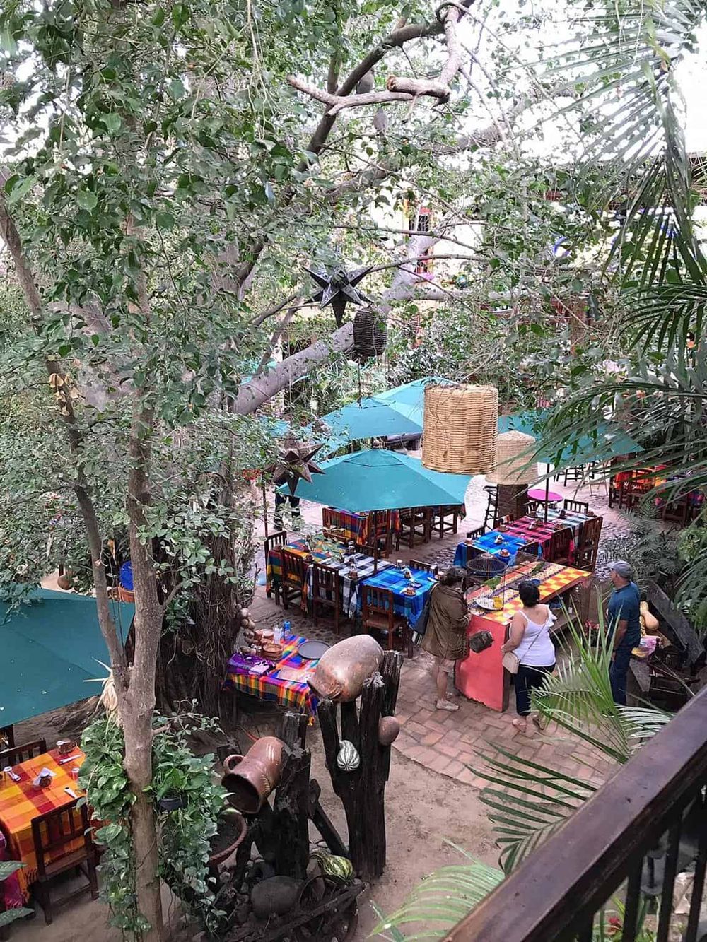 Colorful outdoor dining area with vibrant tablecloths and umbrellas, surrounded by lush greenery and trees.