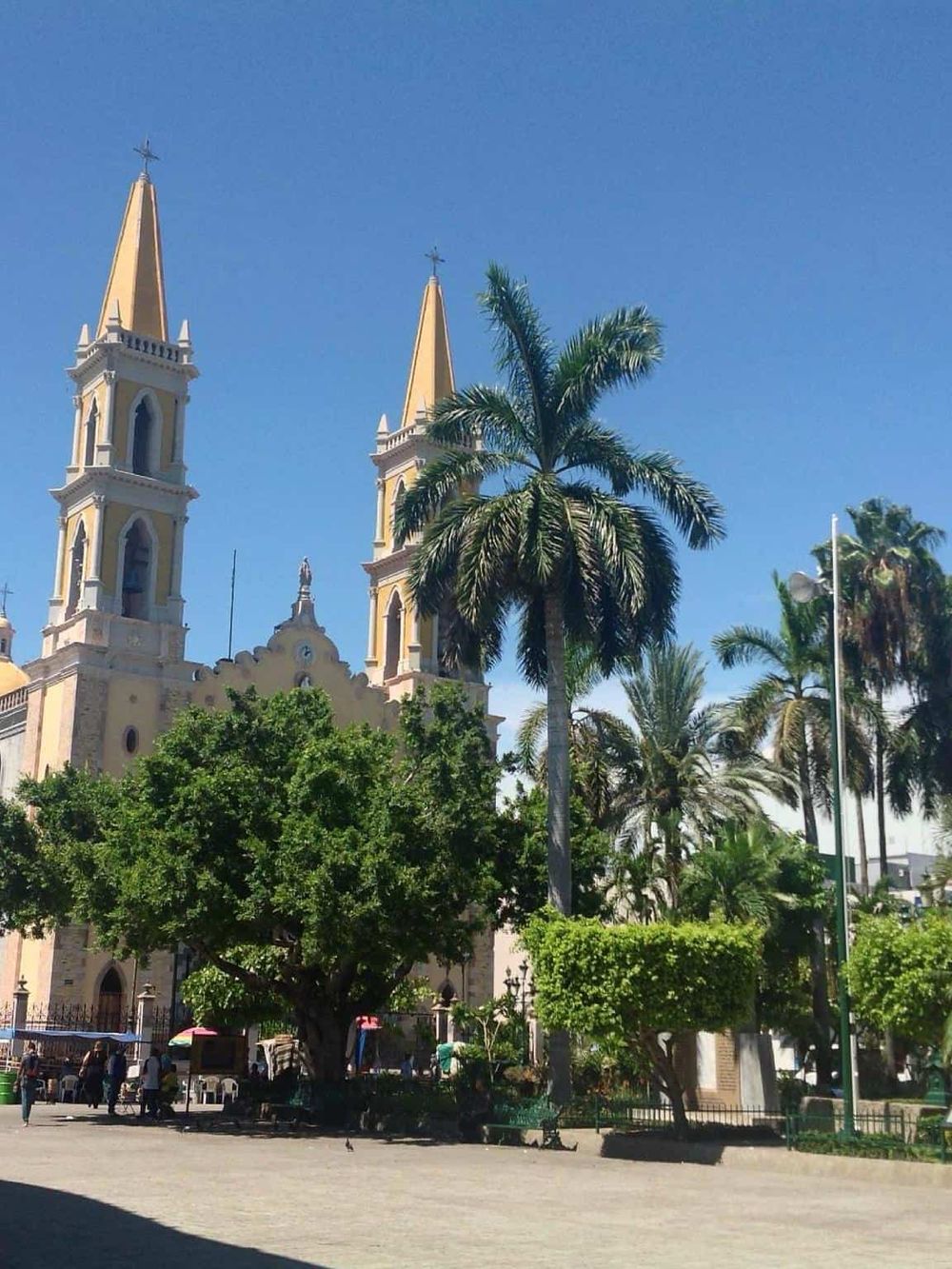 Vibrant town square with historic church, lush palm trees, and clear blue sky in Mexico.