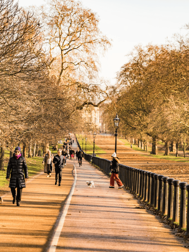 Bright autumn park walkway with walkers, trees, and lampposts, ideal for travel and outdoor sightseeing.