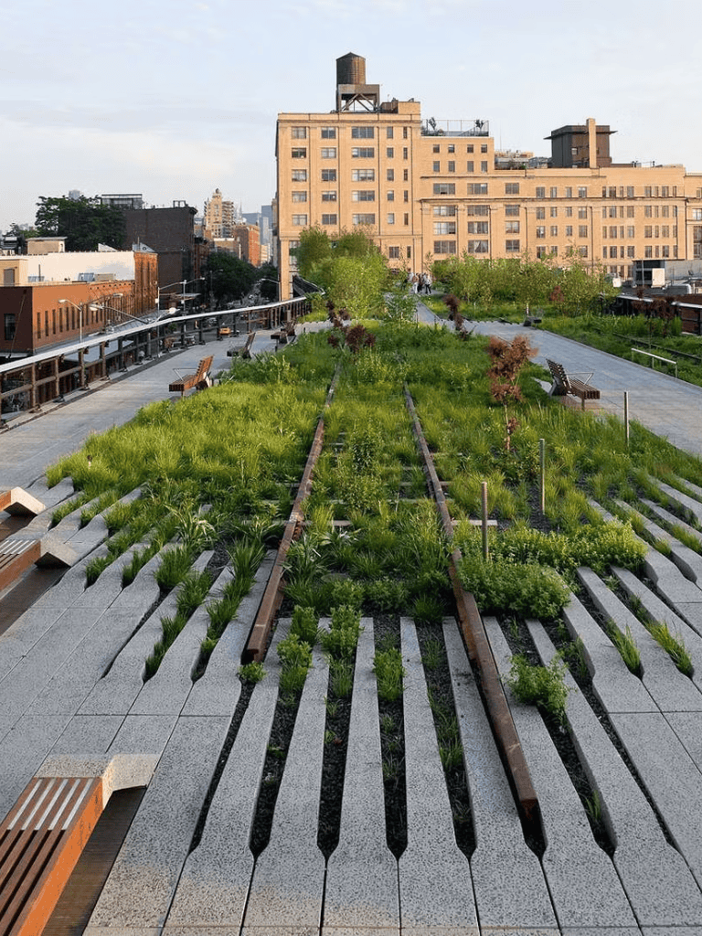 Lush green rooftop garden with benches and city skyline view, eco-friendly urban space design.