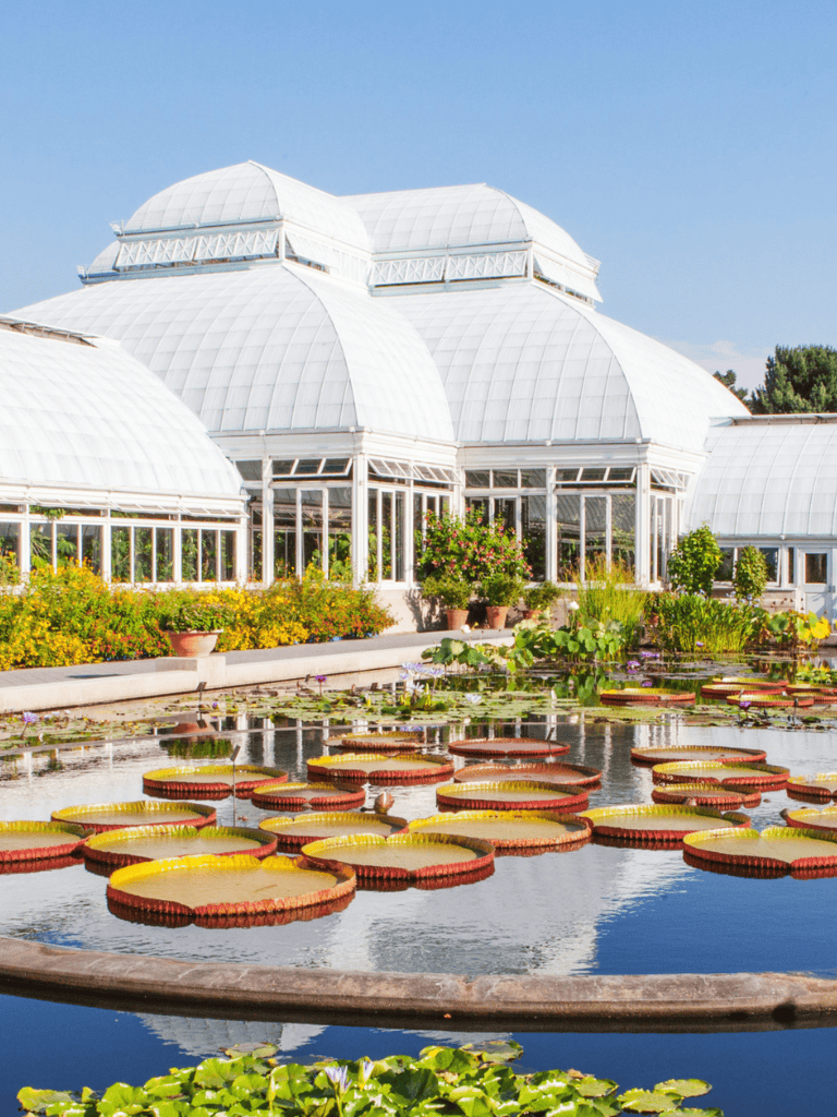 Water lily pond in front of a historic greenhouse at QuestForDirections botanical conservatory.