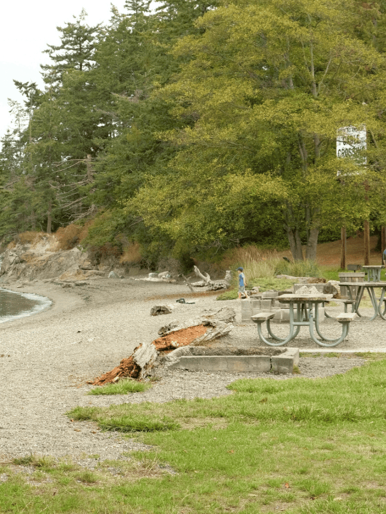 Kids playground, beach, trees, nature, outdoor activities, park, scenic view, family fun, QuestForDirections.