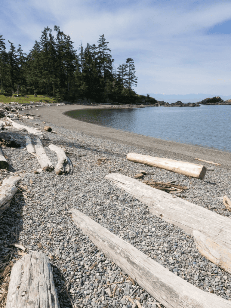 Secluded pebble beach with driftwood and lush forest, coastal scenery, calm water, nature escape, outdoor exploration.