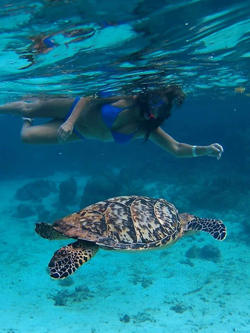 Vibrant underwater scene of a woman swimming with a sea turtle in clear ocean waters.