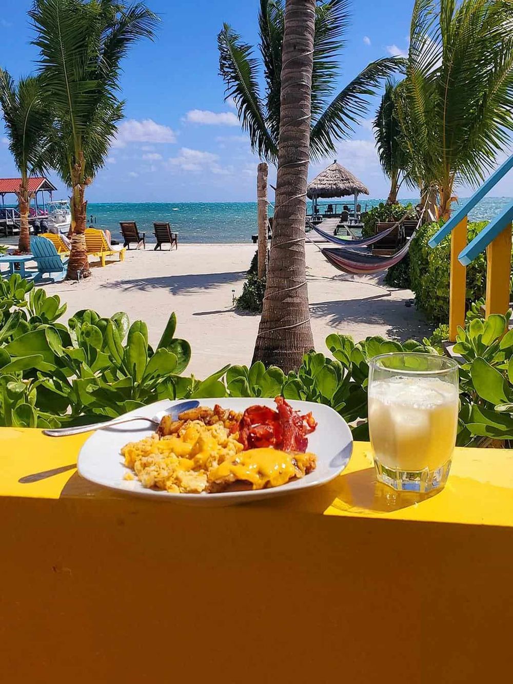 Relaxing beachside dining with tropical scenery and ocean view.