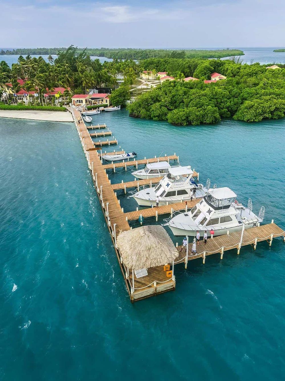 Luxury marina with boats and lush tropical landscape in paradise setting.