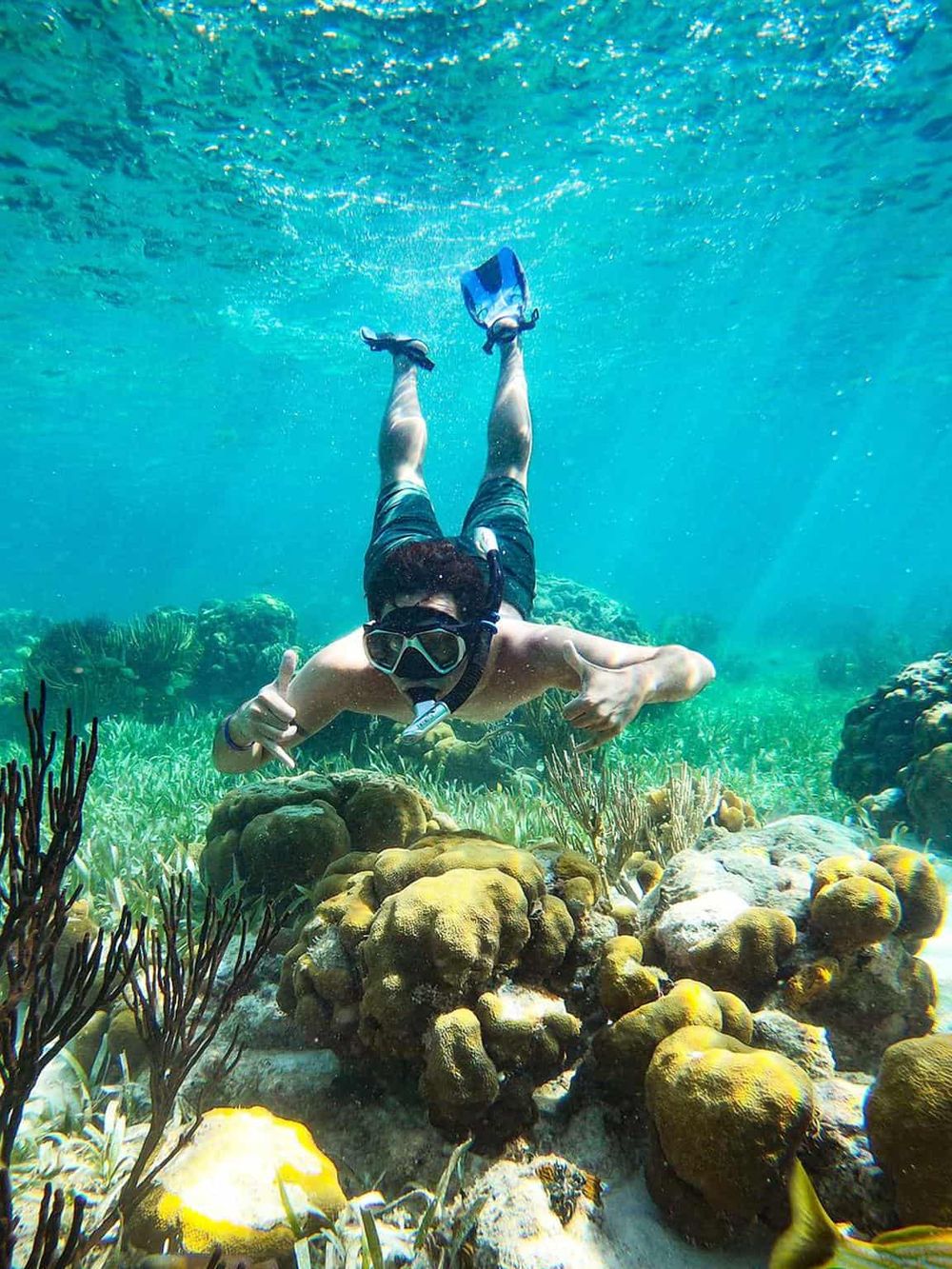 Underwater scuba diver exploring vibrant coral reef with colorful marine life.