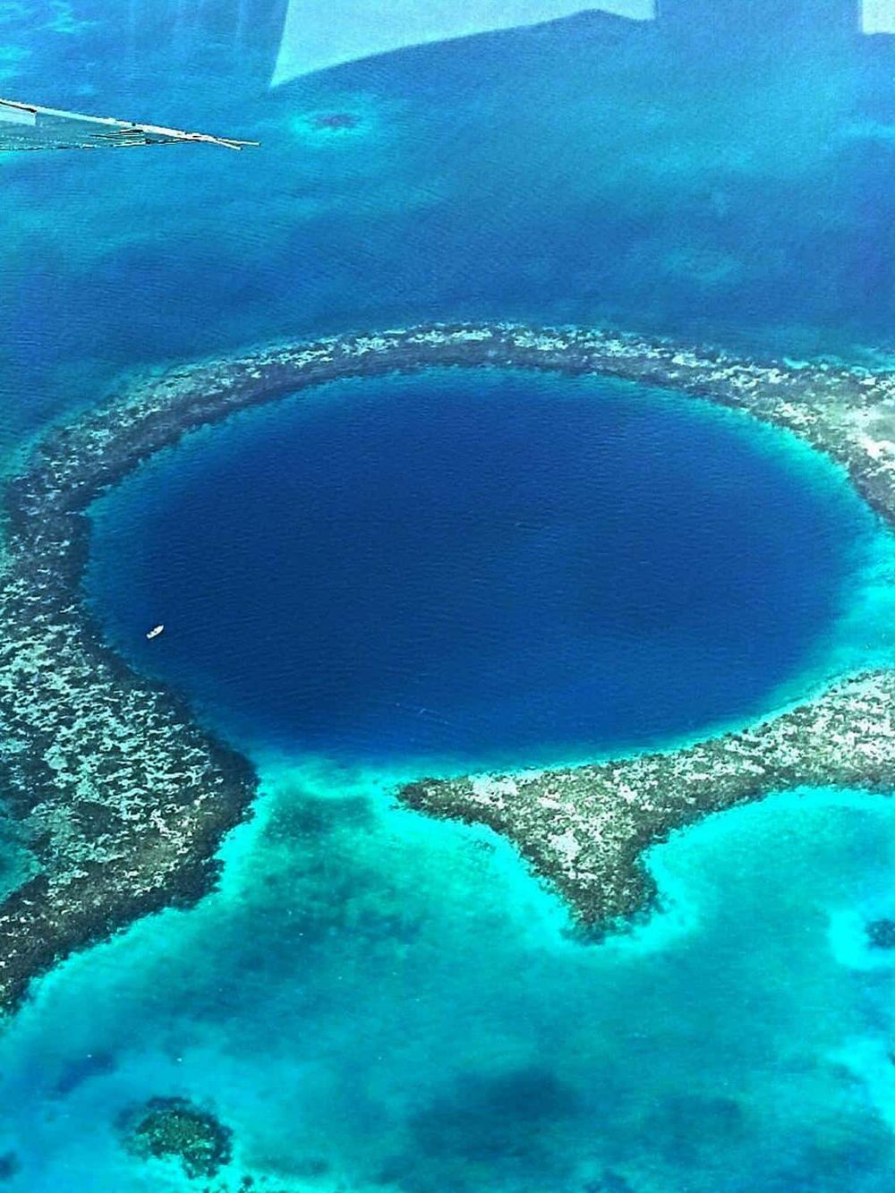 Vortex-shaped cenote in turquoise waters, popular with divers in the Yucatán Peninsula.