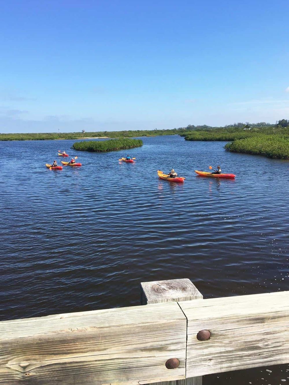 Kayak boats paddling through mangrove estuary in Florida, scenic waterway adventure, outdoor exploration, nature recreation.