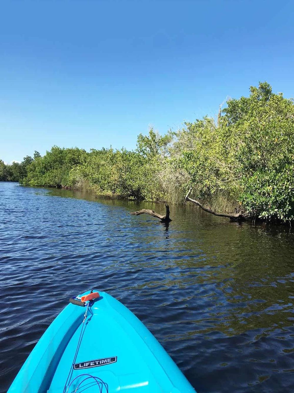 Mangrove river exploration with kayak, lush green trees and calm water, outdoor adventure, nature travel, eco-tourism, QuestForDirections.