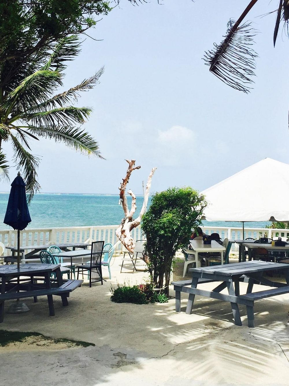 Beachside outdoor dining with ocean view, palm trees, and sand on a sunny day.