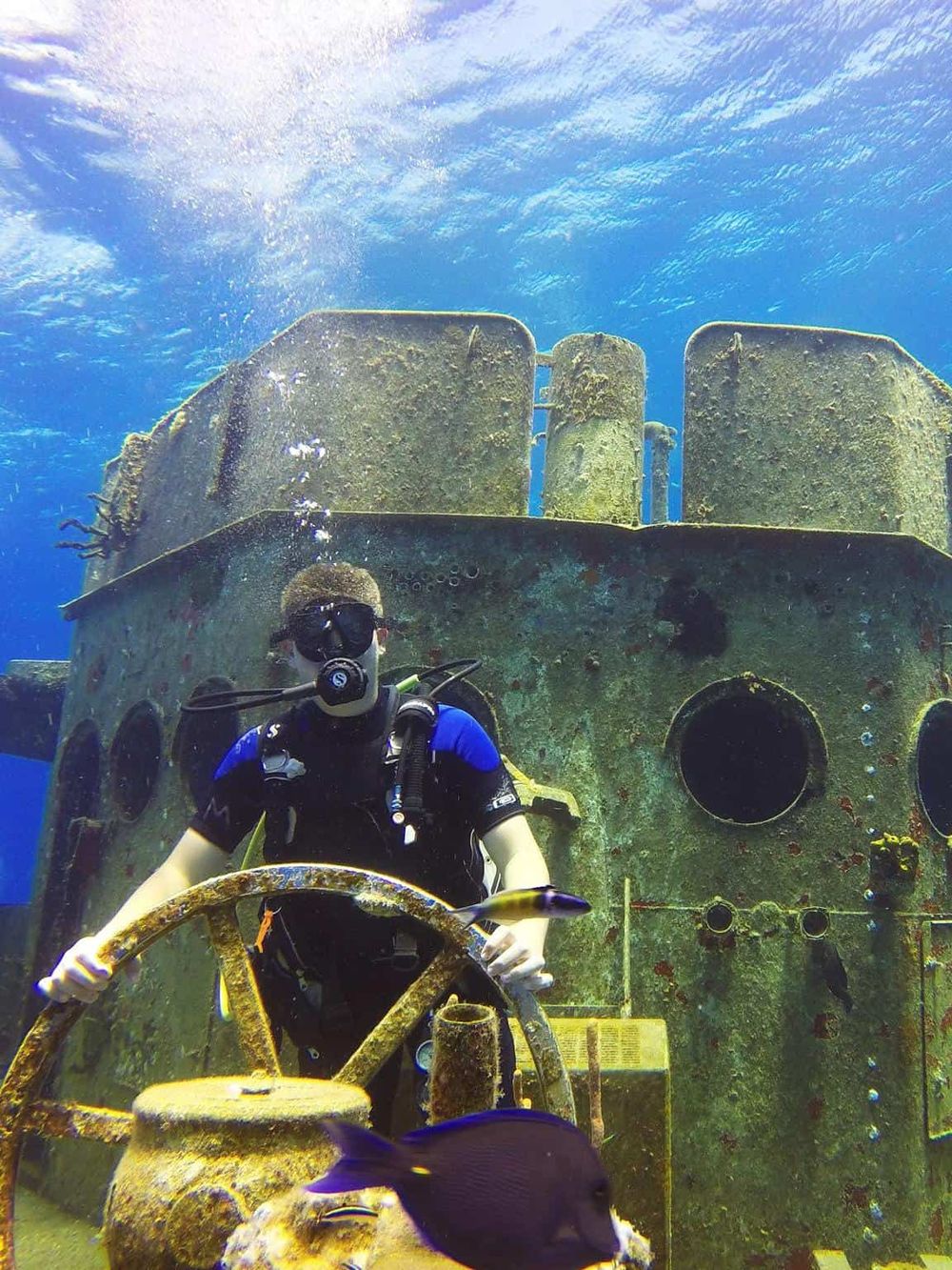 Underwater shipwreck exploration with scuba diver and marine life for adventure tourism.