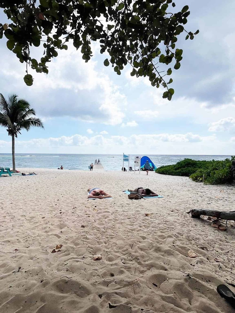 Relaxing beach scene with sunbathers, palm trees, and ocean views at QuestForDirections.