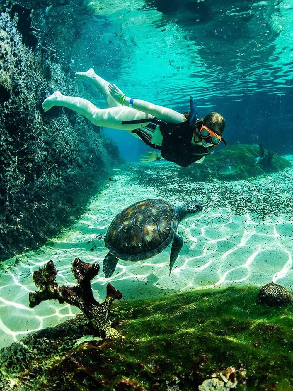 Underwater adventure exploring marine life and snorkeling with a sea turtle in clear ocean waters.