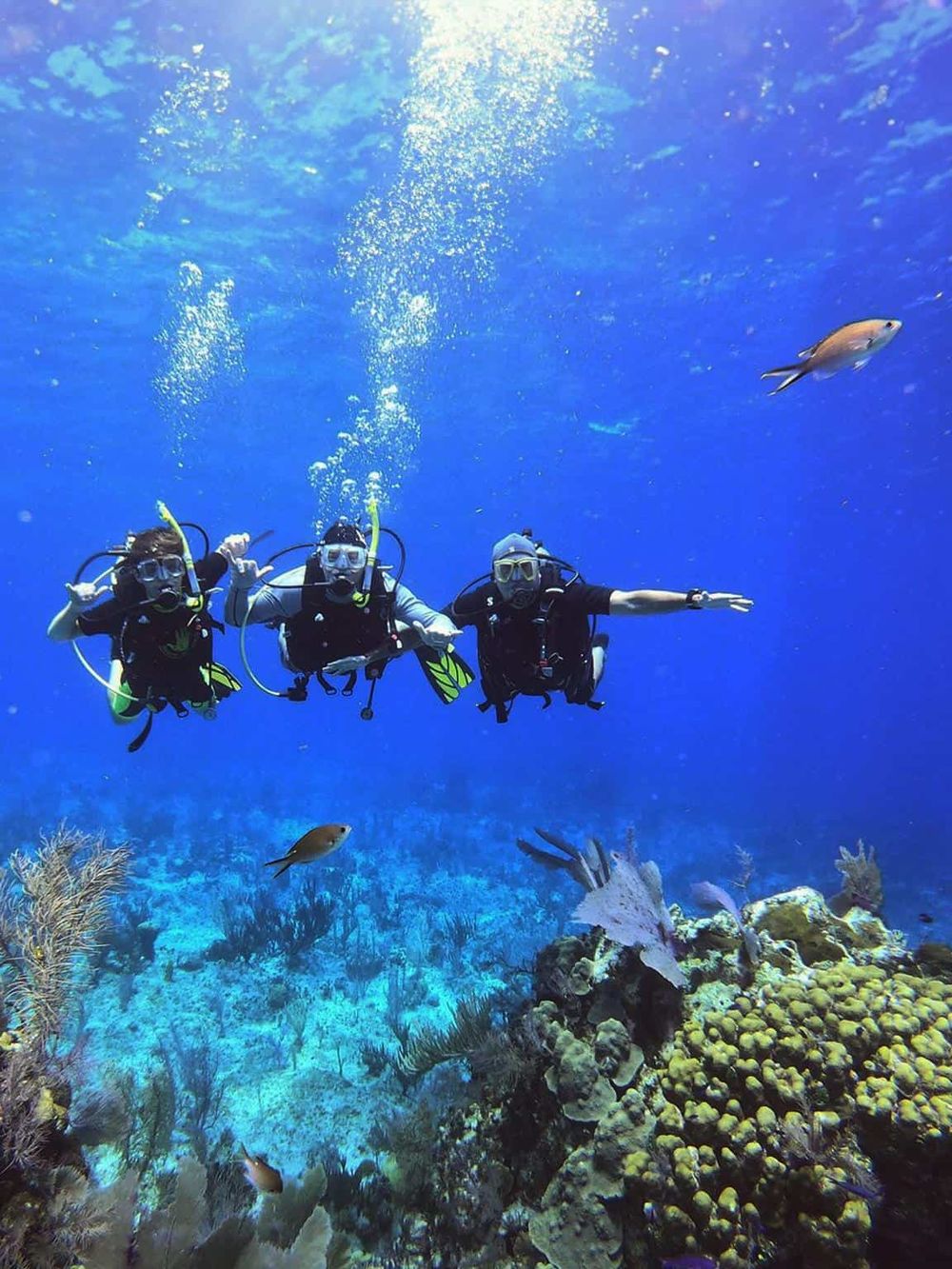 Scuba divers exploring vibrant coral reefs and marine life underwater for adventure and exploration.