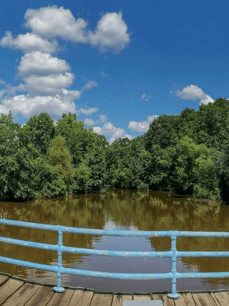 Serene river view with lush green trees under a bright blue sky with puffy clouds.