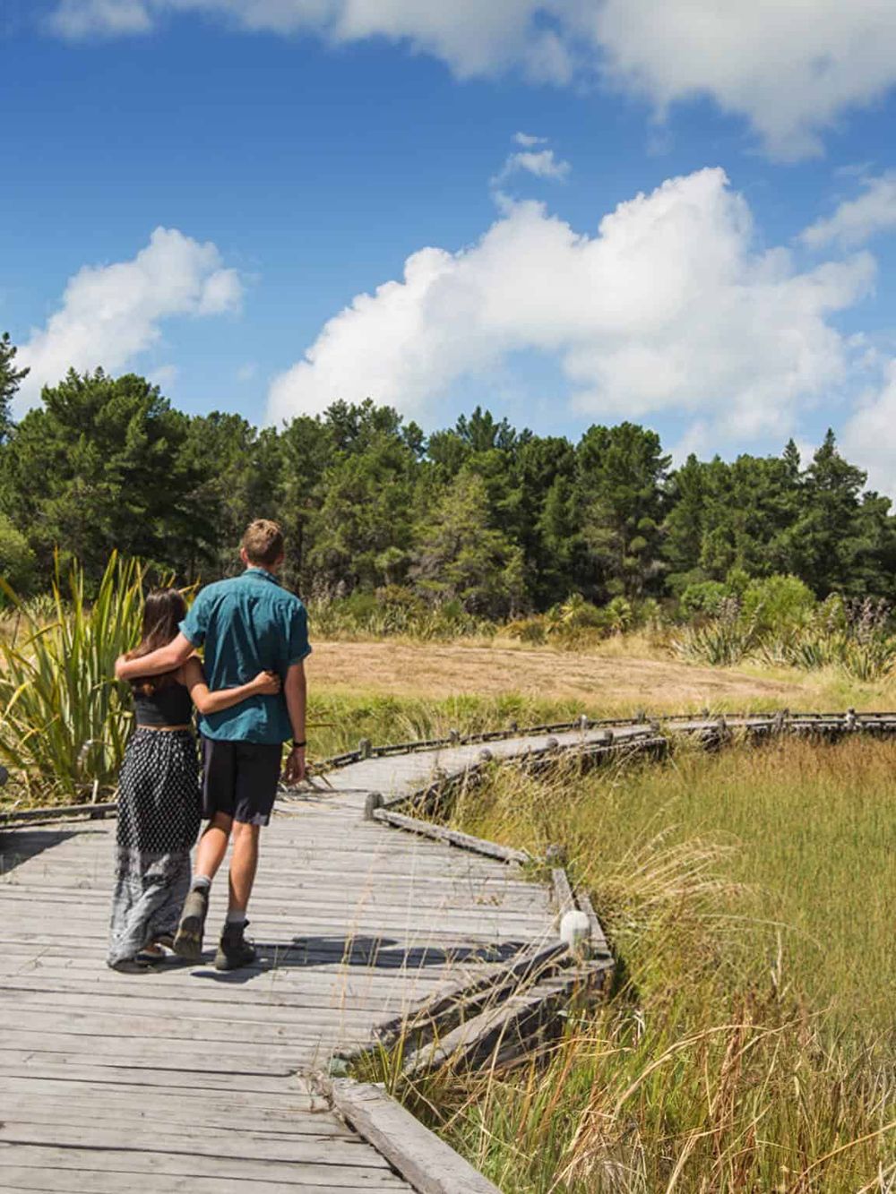 Serene outdoor trail at QuestForDirections, perfect for nature walks and exploration.