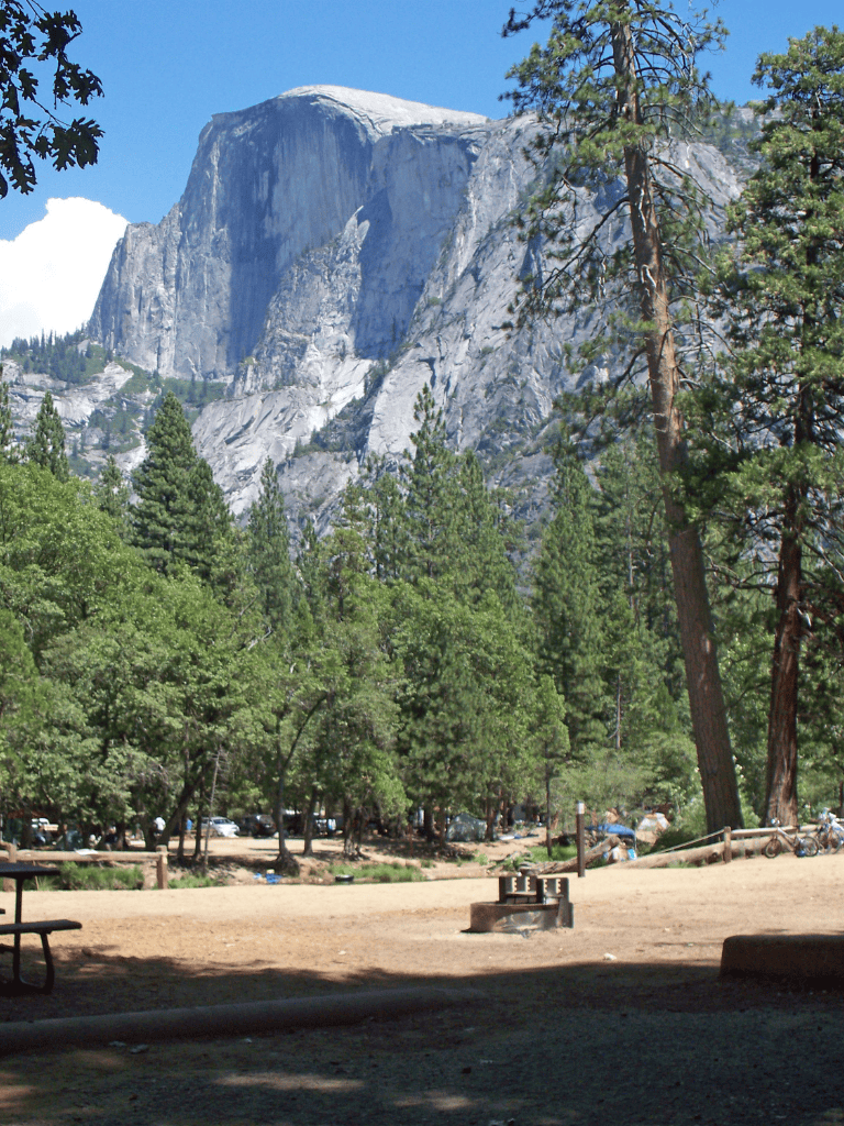 Majestic El Capitan granite cliff in Yosemite National Park, surrounded by lush pine trees.