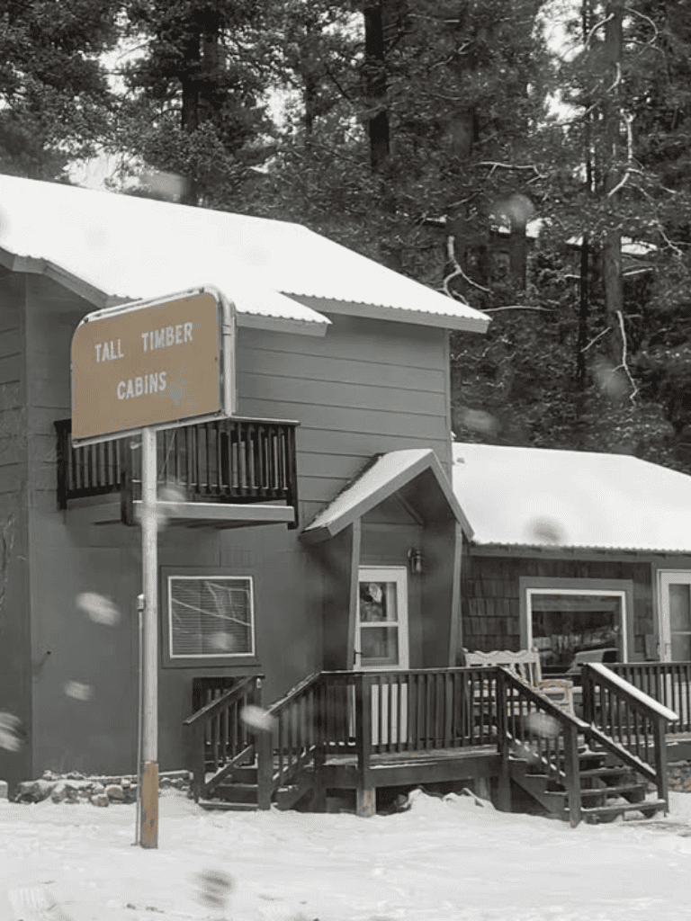 Cozy mountain cabins with snow-covered roofs at Tall Timber, surrounded by a forest.