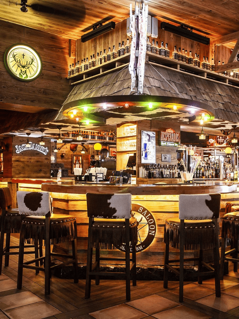 Terrace bar with rustic decor and extensive liquor bottles, cozy ambiance, and cowhide chairs at QuestForDirections.