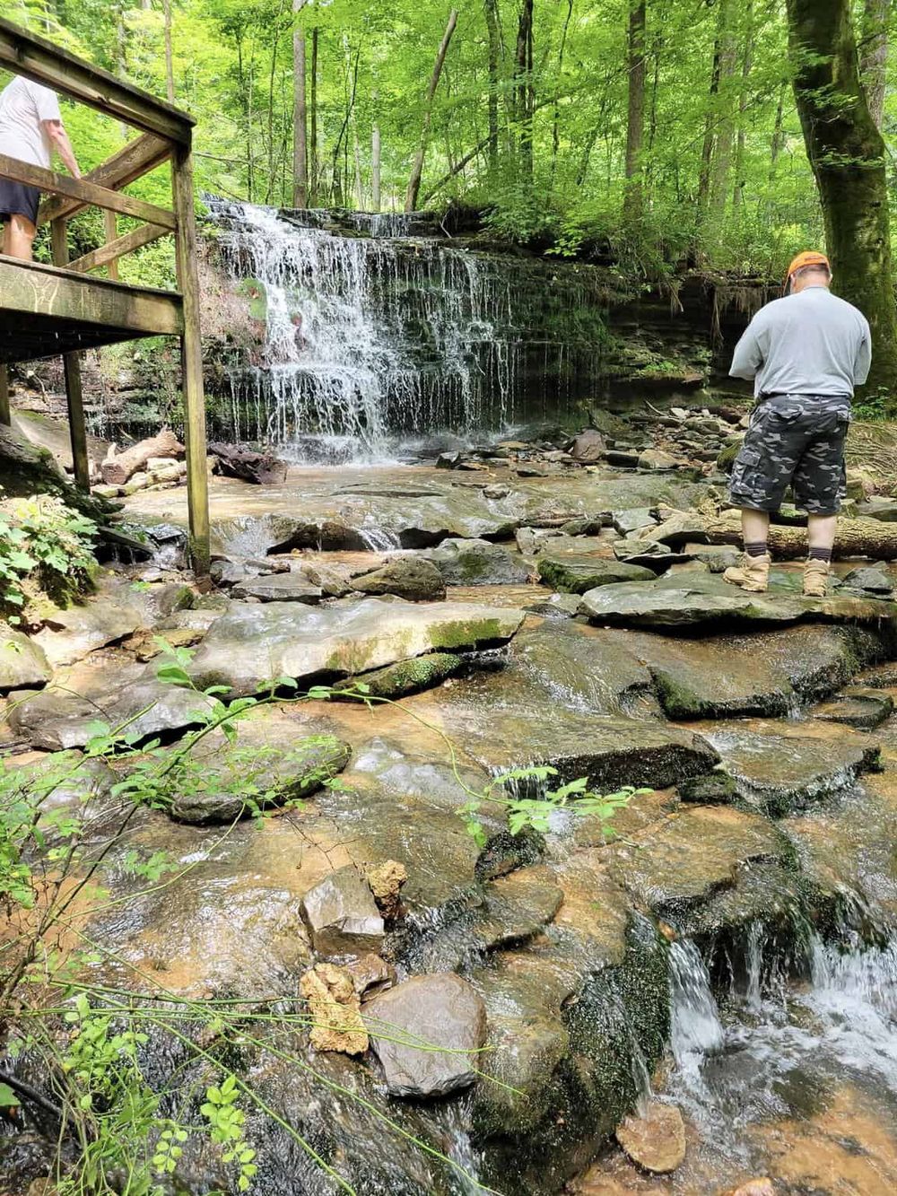 Tranquil forest waterfall at Quest for Directions, nature hike with scenic water views and lush greenery.
