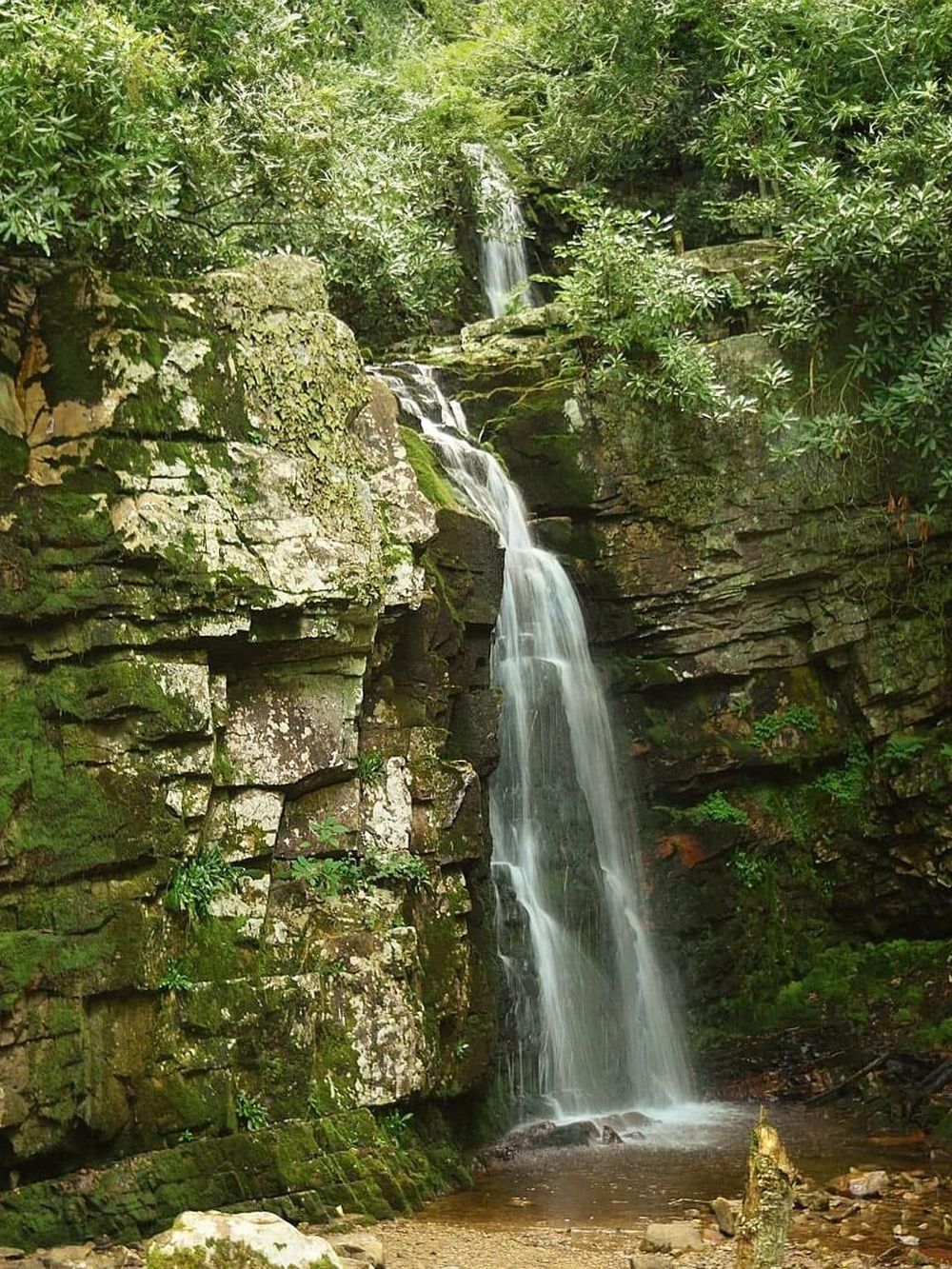Serene waterfall in lush green forest, nature scene from QuestForDirections.
