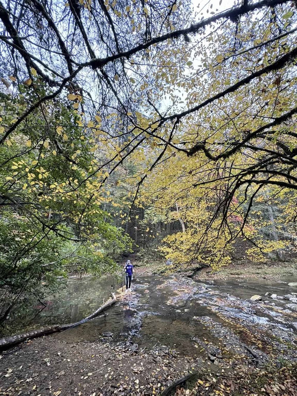 Peaceful hiking trail along a river with fall foliage, ideal for outdoor adventure and nature exploration.